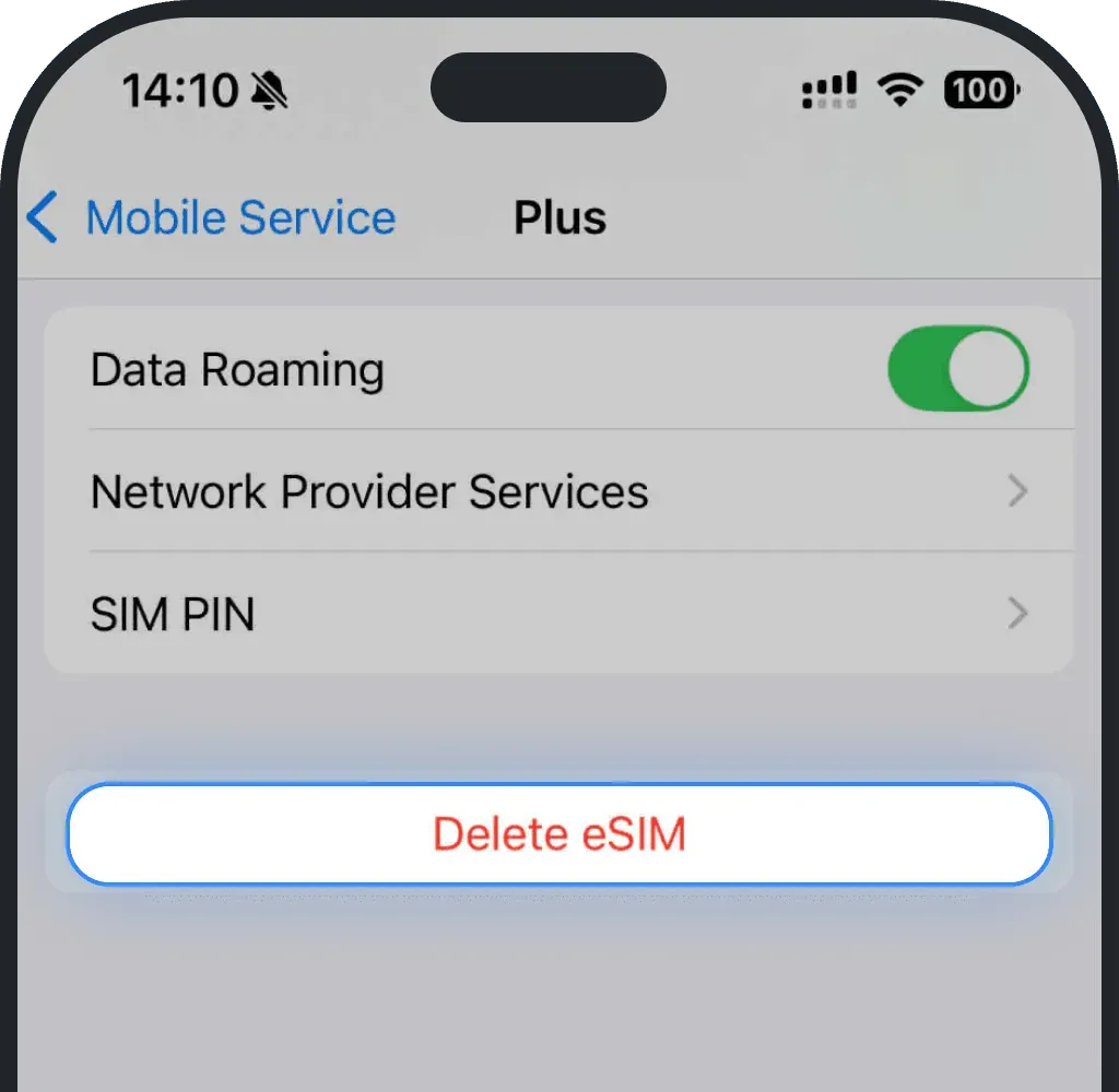 Click “Delete eSIM” on iPhone screenshot