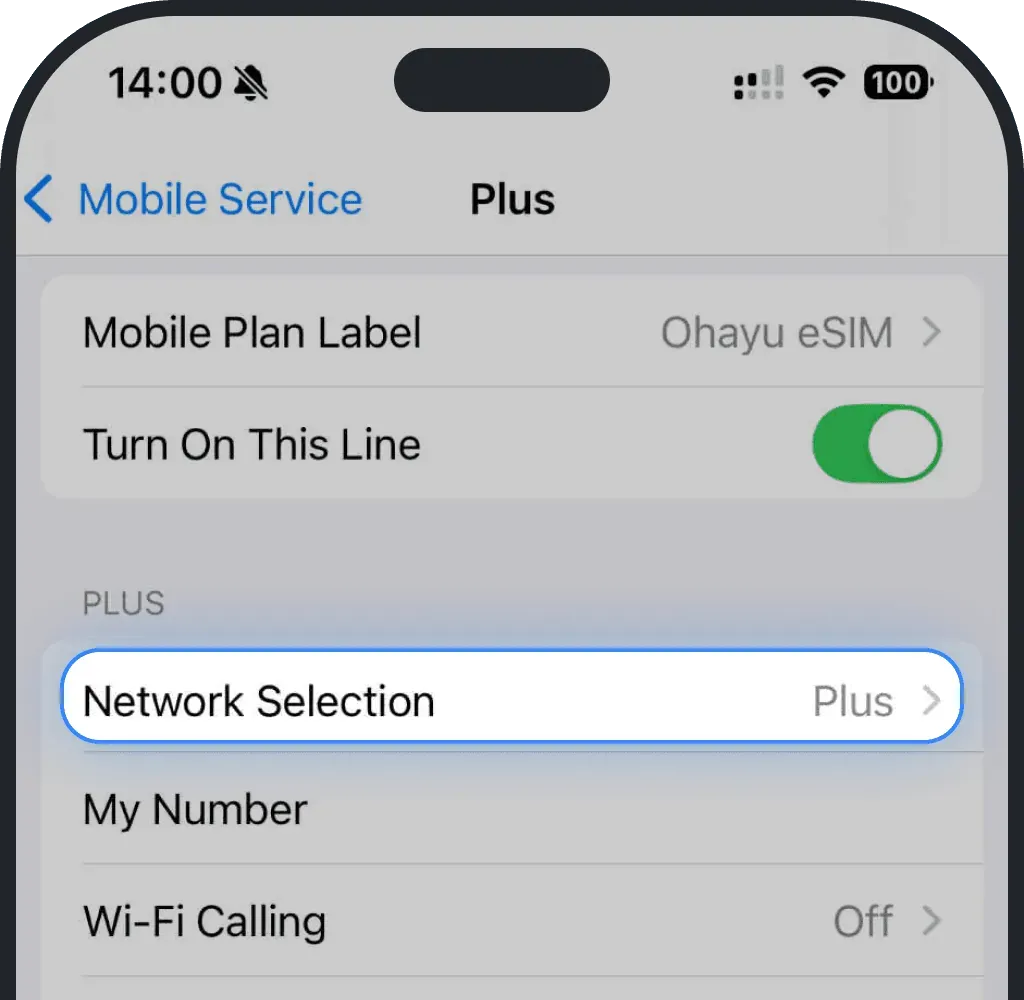 Click Network Selection on iPhone screenshot