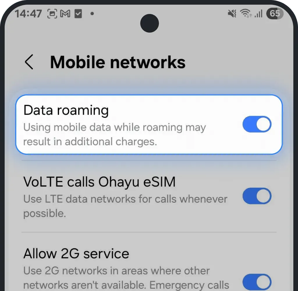 Data Roaming should be toggled on on Android screenshot