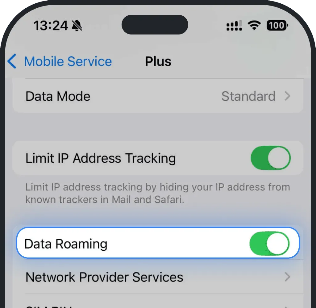 Data Roaming should be toggled on on iPhone screenshot