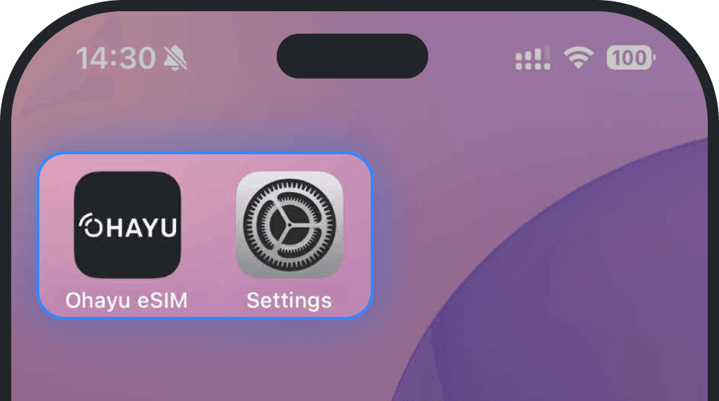 Go To Settings on iPhone screenshot