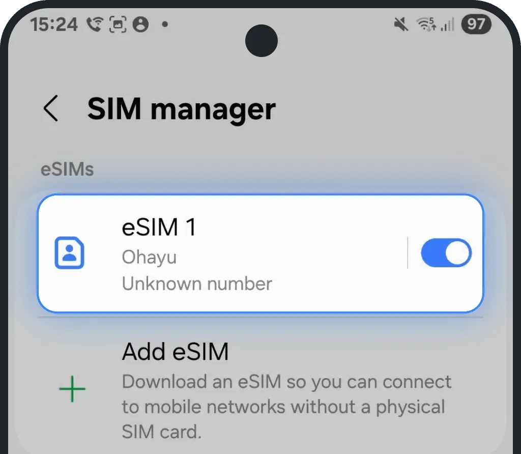 Once installed, you will see your eSIM in your list of eSIMs in your Settings.