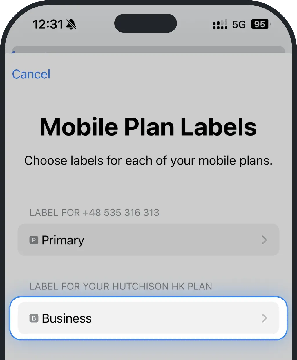 Select the just-installed eSIM.png