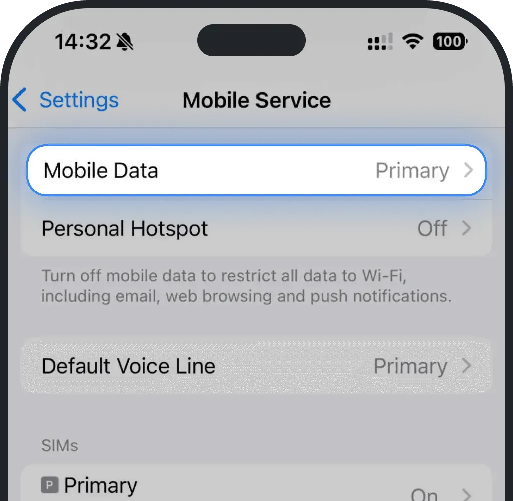 Tap Mobile Data or Cellular on iPhone screenshot