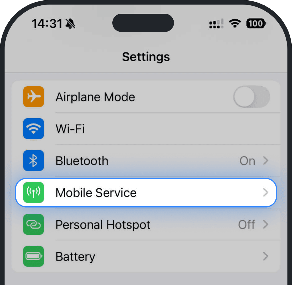 Tap Mobile Service or Cellular on iPhone screenshot
